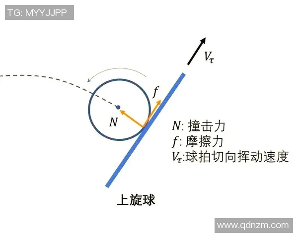从零基础到高手之路乒乓球力量训练全解析与技巧分享