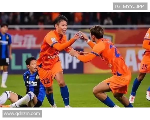 北京排球队战术引发热议球迷与专家观点交锋分析