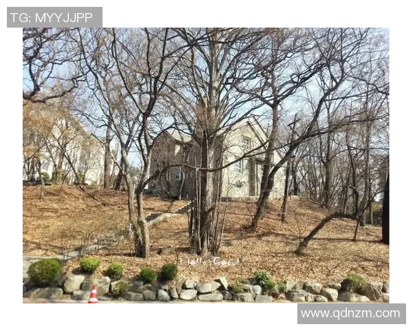 足球明星罗彬的传奇人生与辉煌成就全景介绍 足球明星罗彬的传奇人生与辉煌成就全景介绍