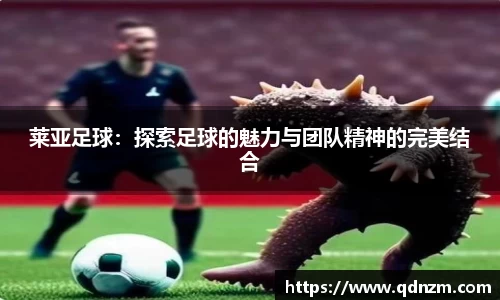 莱亚足球：探索足球的魅力与团队精神的完美结合